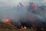 Ausbildung Flächenbrand